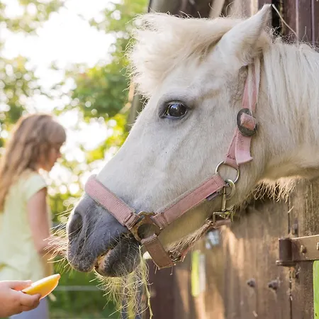 Bauernhof Hopp Apartmán Vadersdorf