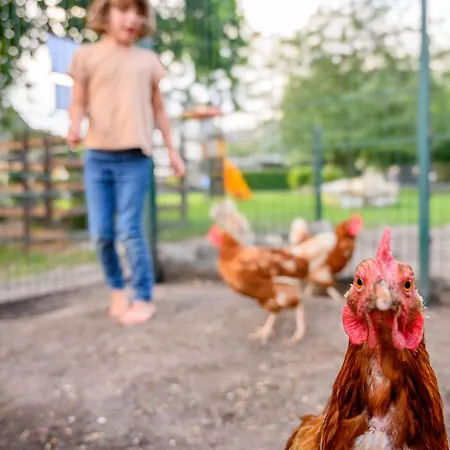 Bauernhof Hopp Apartmán