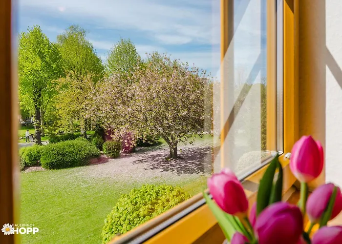 Bauernhof Hopp Appartamento