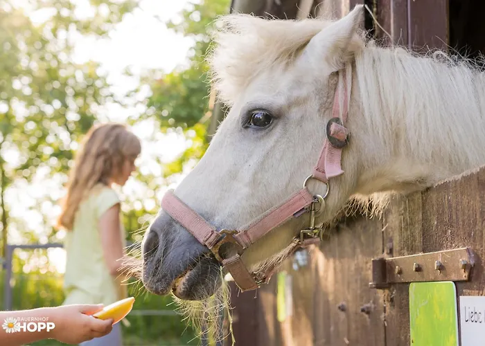 Bauernhof Hopp Appartamento Vadersdorf