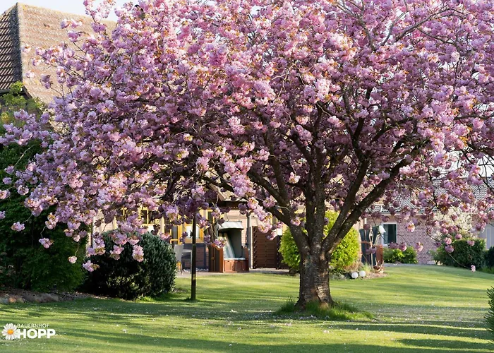 Appartamento Bauernhof Hopp