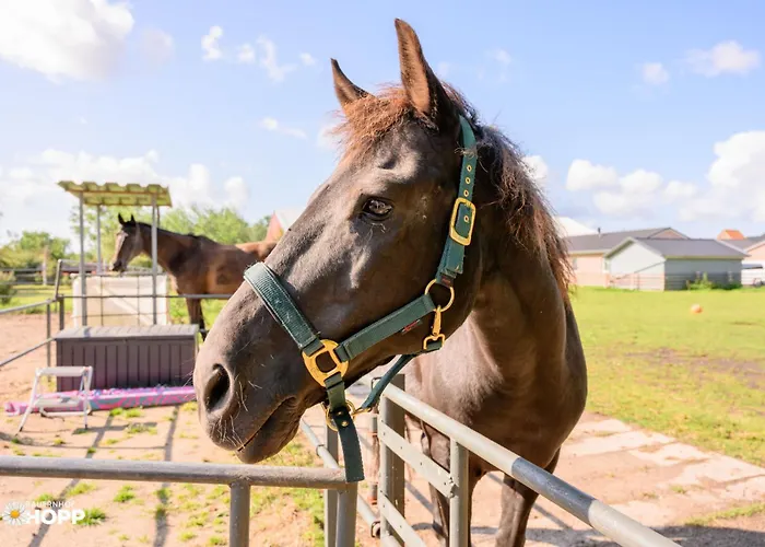 Bauernhof Hopp * Vadersdorf