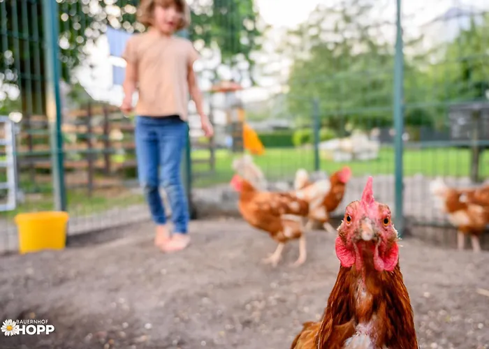 Bauernhof Hopp Appartamento