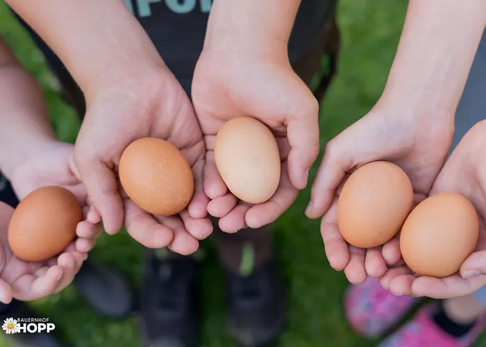 Bauernhof Hopp Vadersdorf